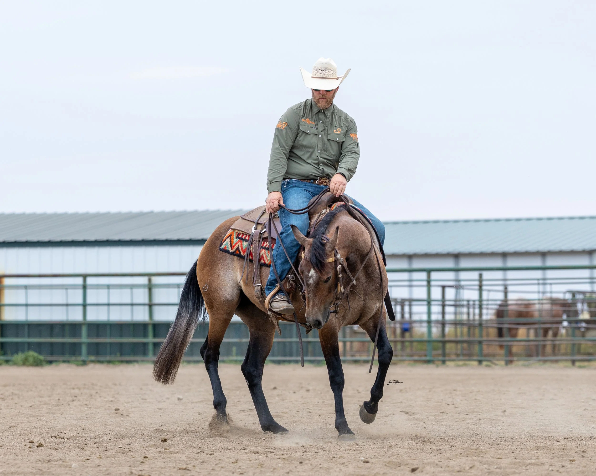 TILT0415-Edit.jpg