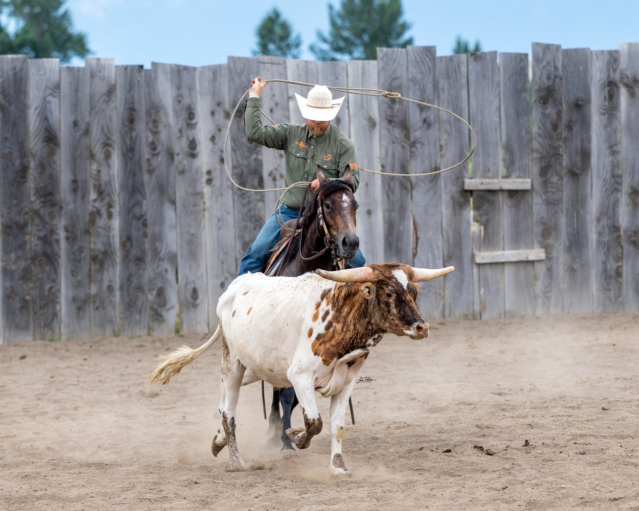 TILT0773-Edit.jpg