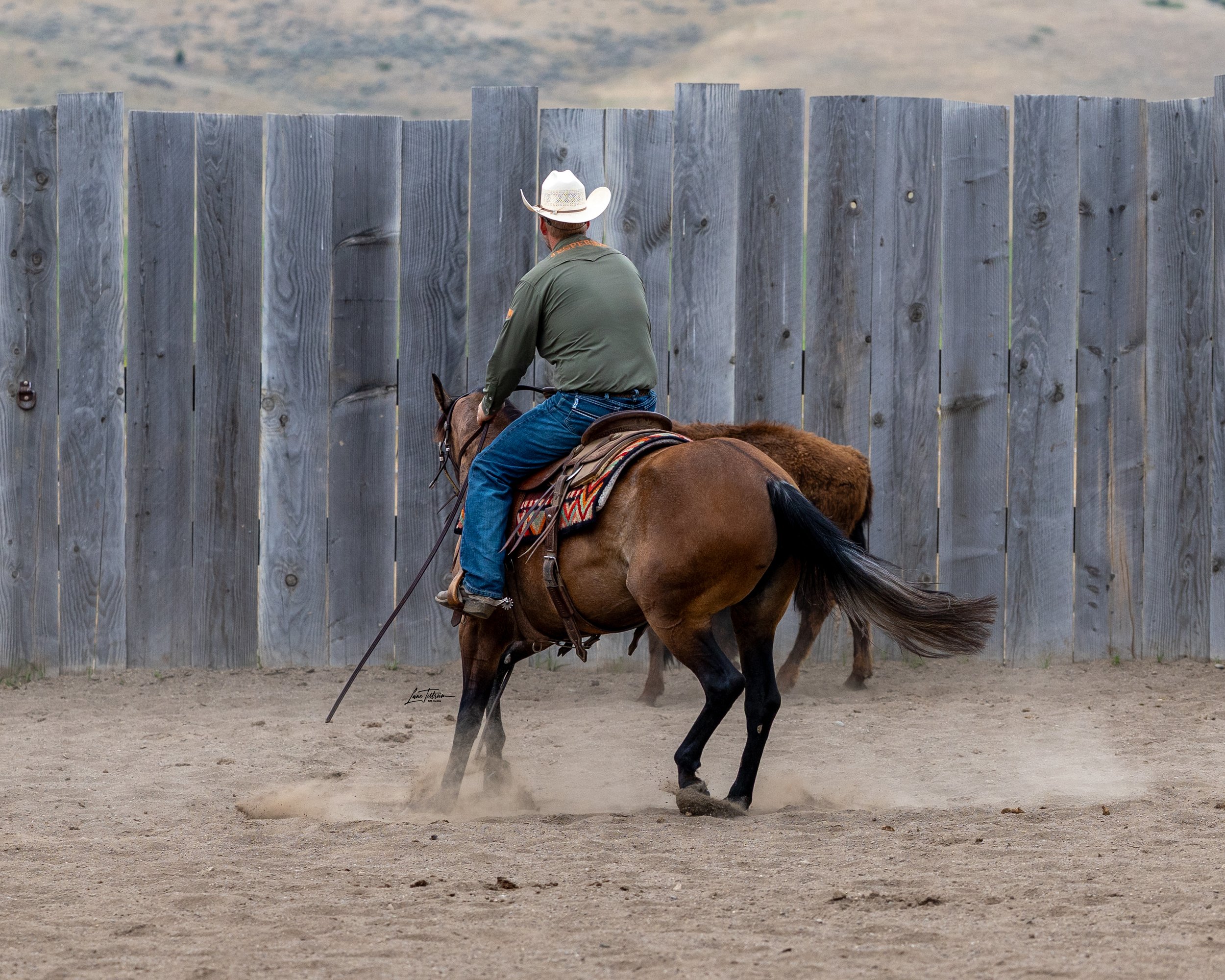 TILT0568-Edit.jpg