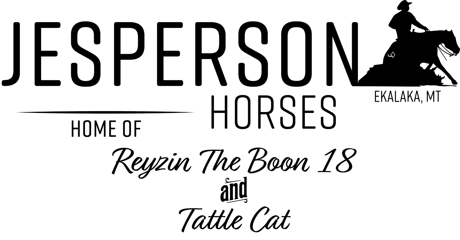 Jesperson Horses