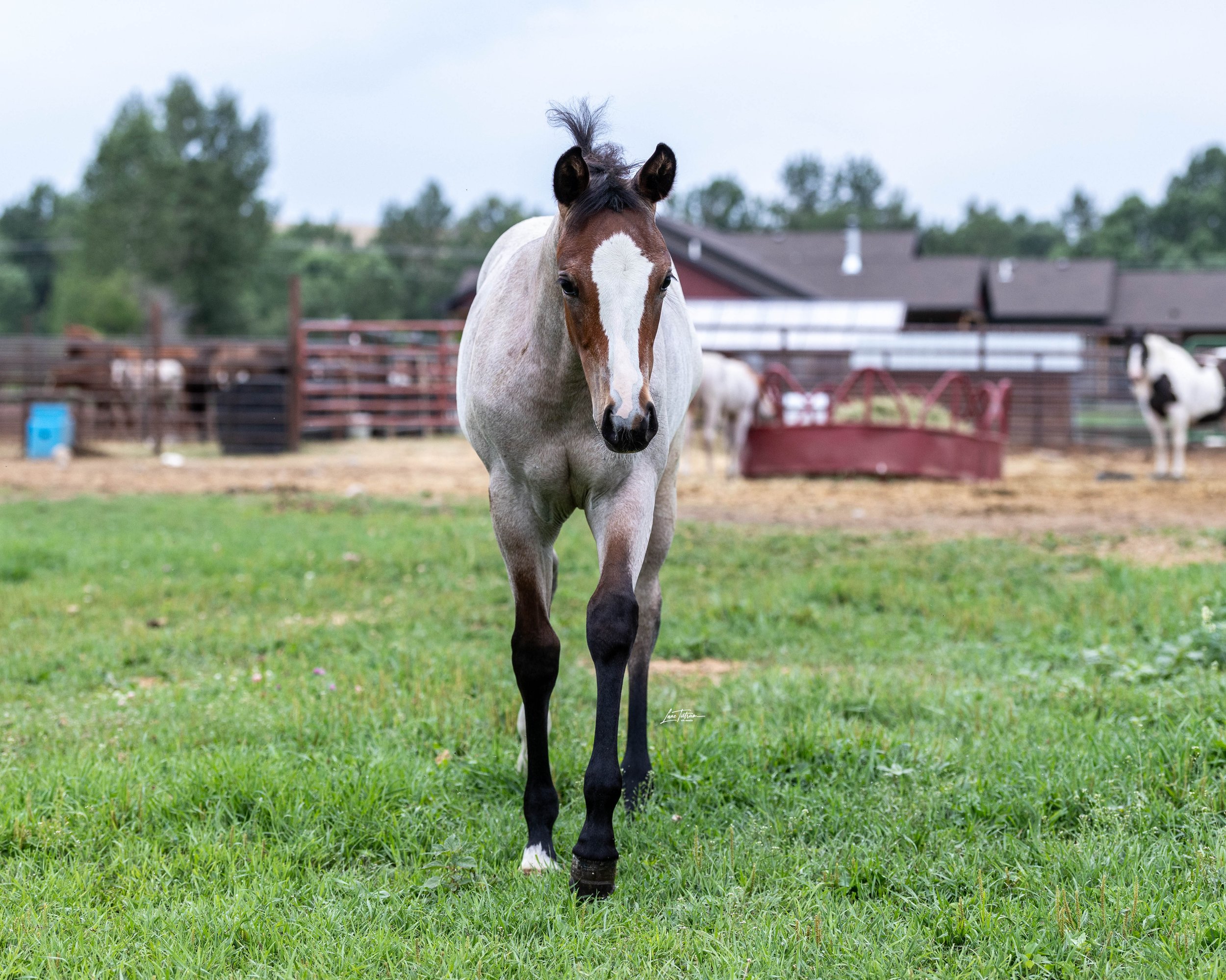 TILT0879-Edit.jpg