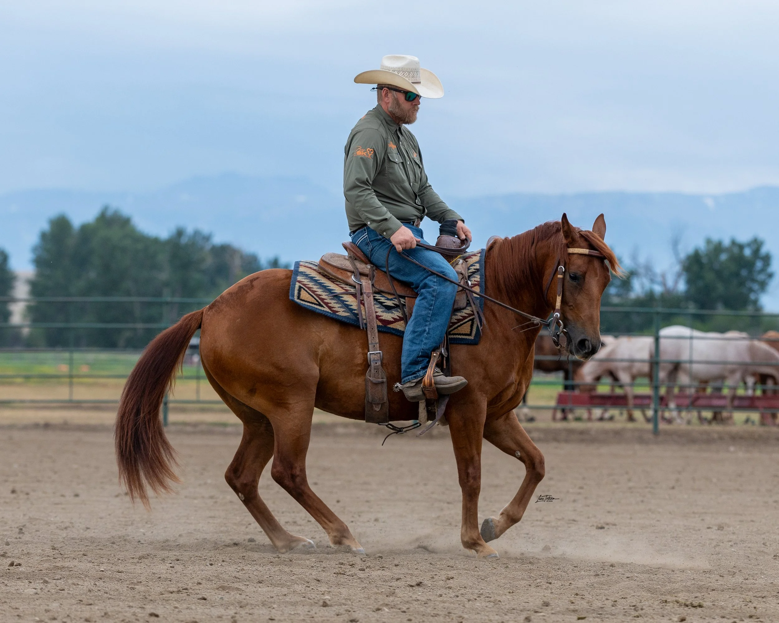 TILT0235-Edit.jpg
