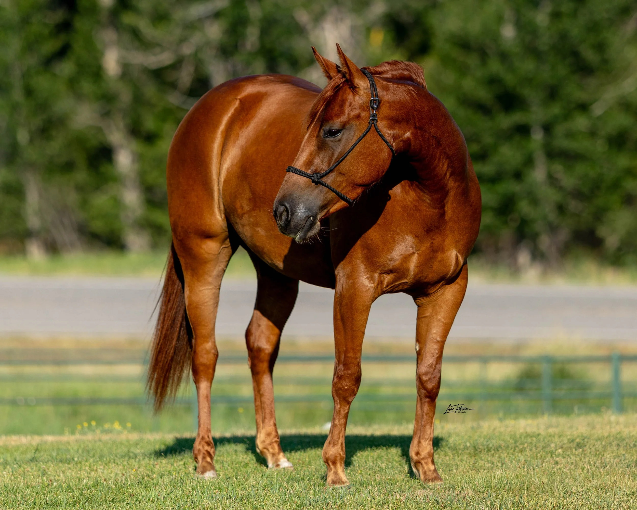 TILT0326-Edit.jpg