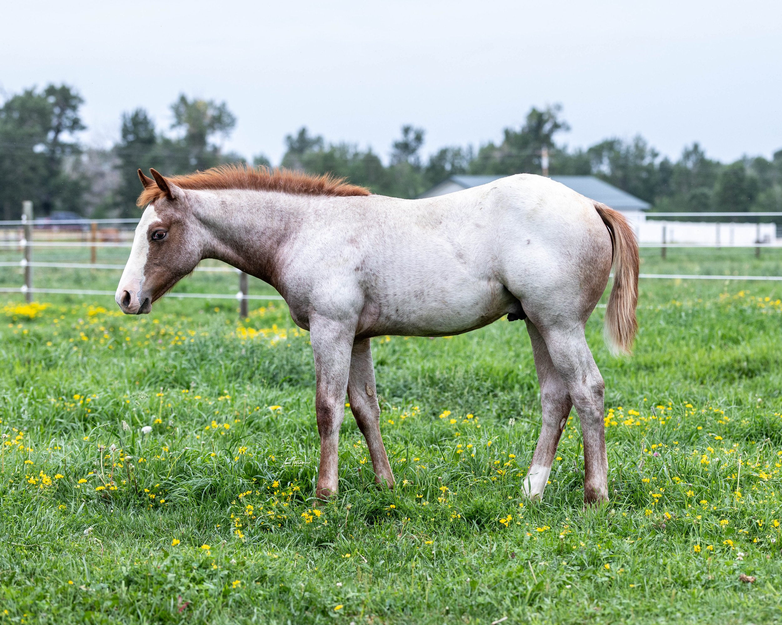 TILT0993-Edit.jpg