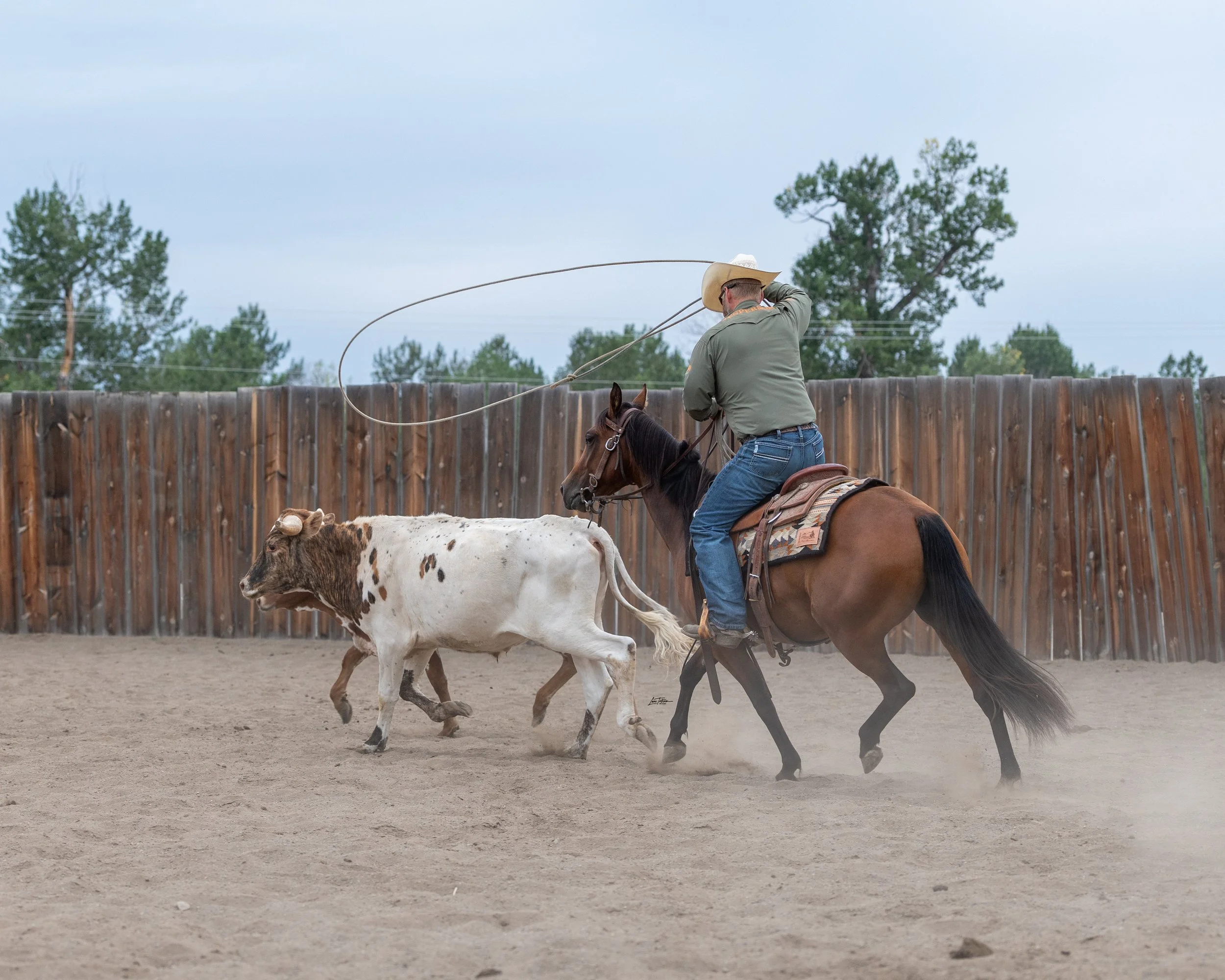 TILT0662-Edit.jpg