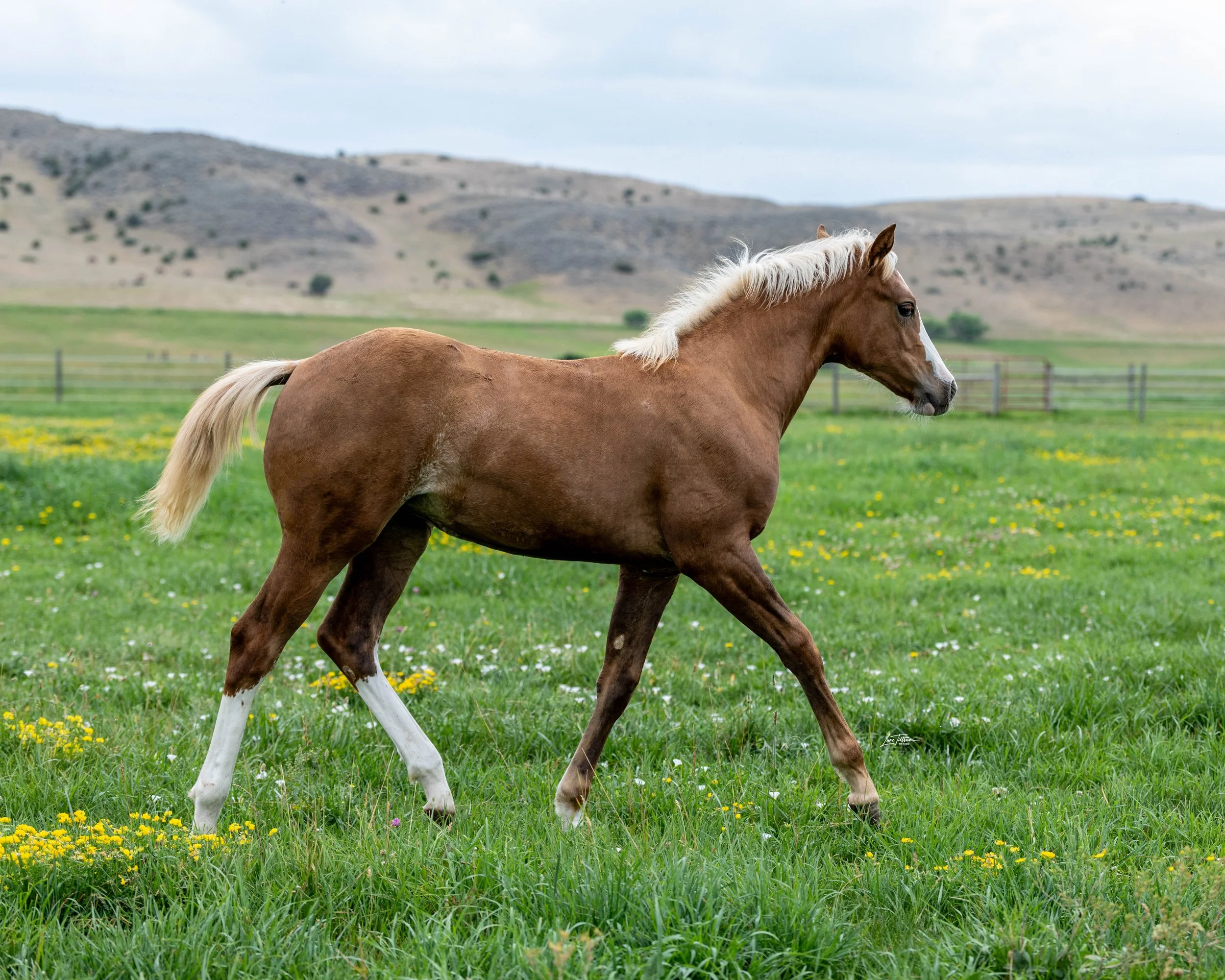 TILT1190-Edit.jpg
