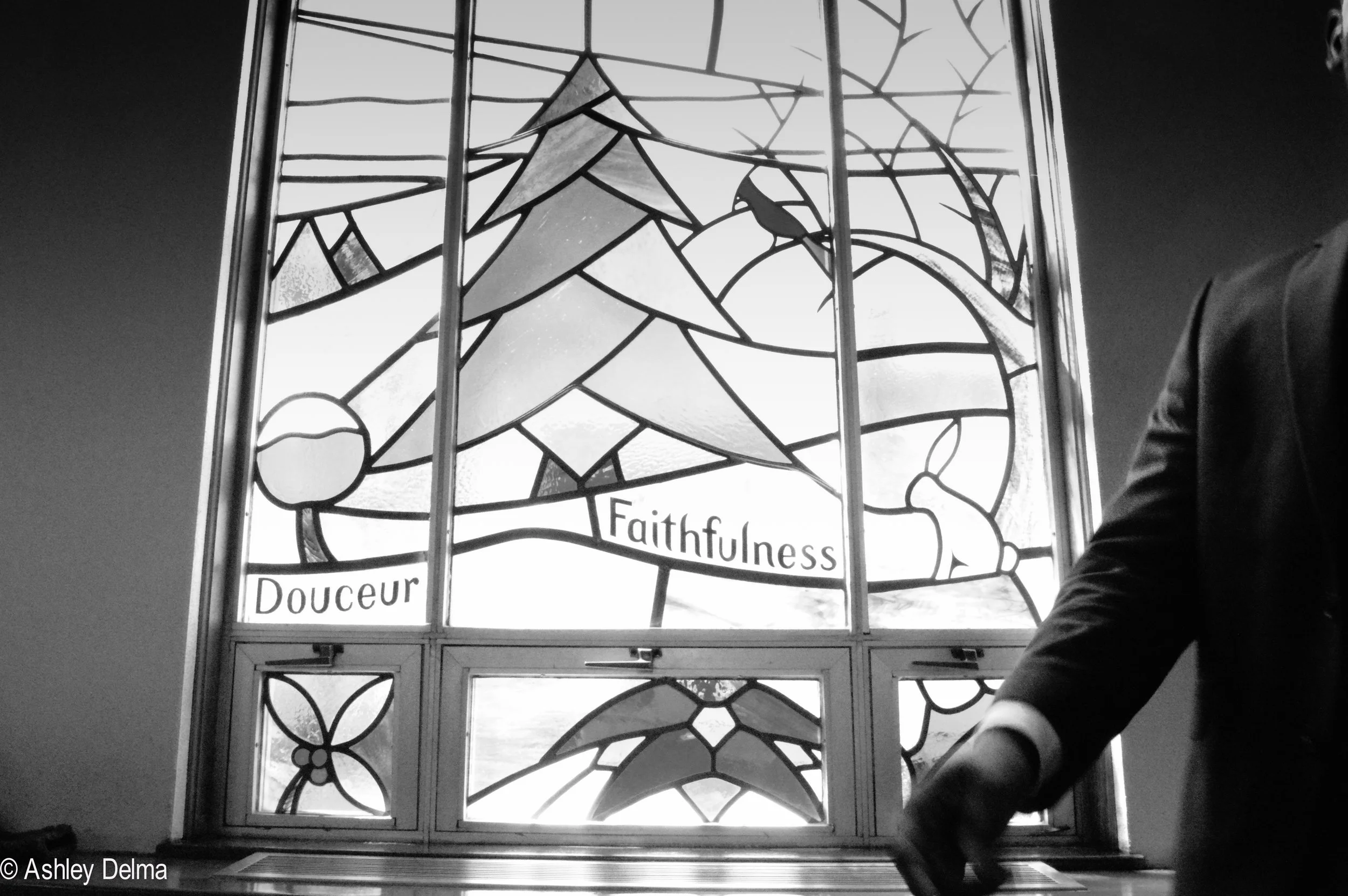 Copy of DSC_0398.jpg