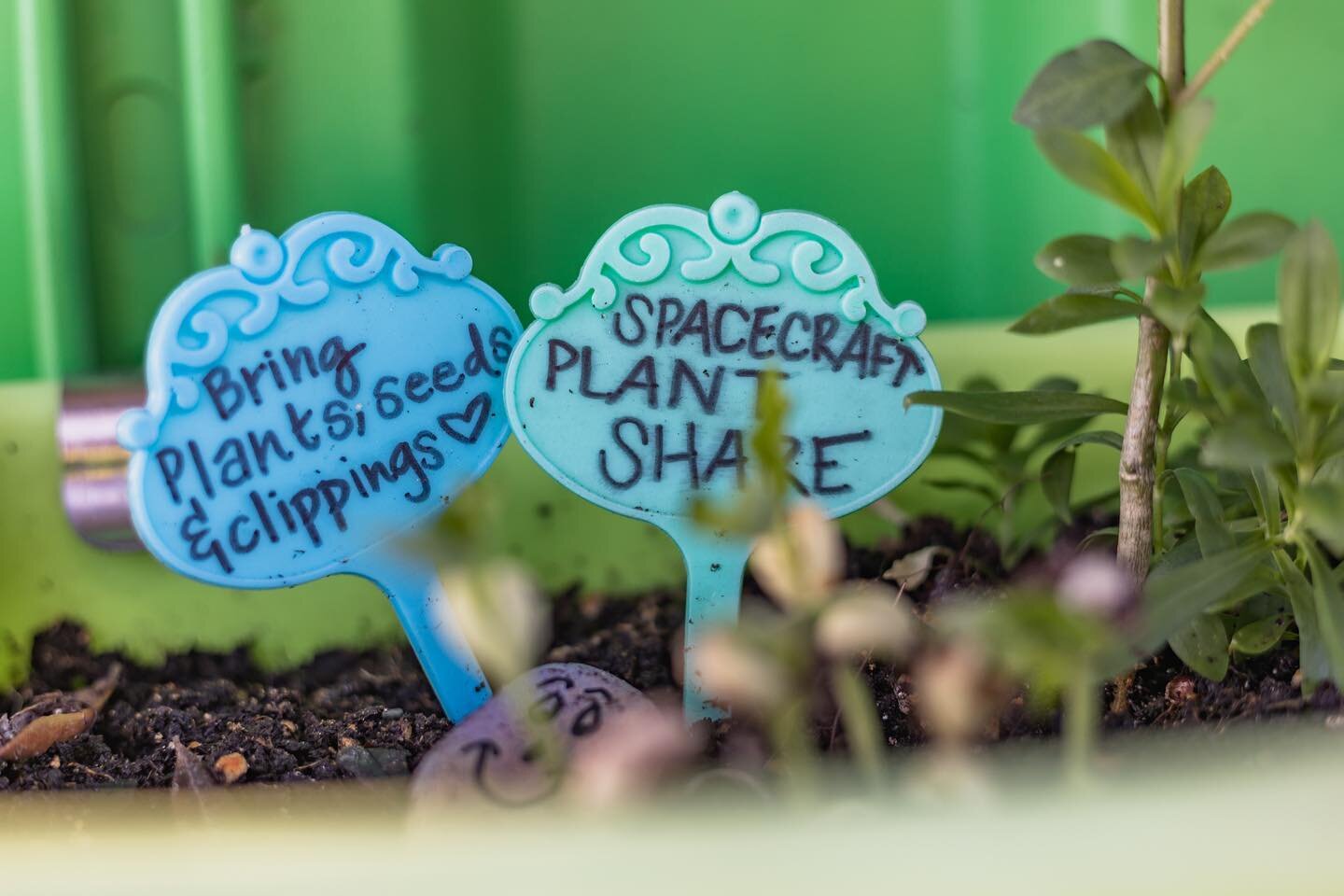 What do you nurture?🪴
______
Throughout our time traveling Pinellas County, we&rsquo;ve felt that the SPACEcraft containers, especially the GROW container, curated an environment for nurturing. A space to connect with nature, while connecting with y