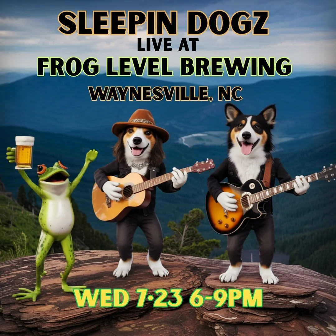 We&rsquo;re stoked to be back at @froglevelbrewing in Waynesville, NC tonight! Come by for great vibes, delish food, excellent brews and Dogz tunes! 
#sleepindogz #sleepindogzduo #froglevelbrewing #waynesvillenc #supportlivemusic #supportlivemusicven