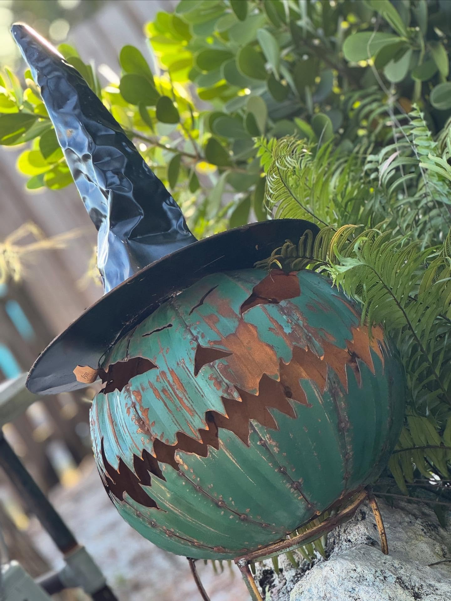 Let the jams begin! @piercedcider @sleepindogz