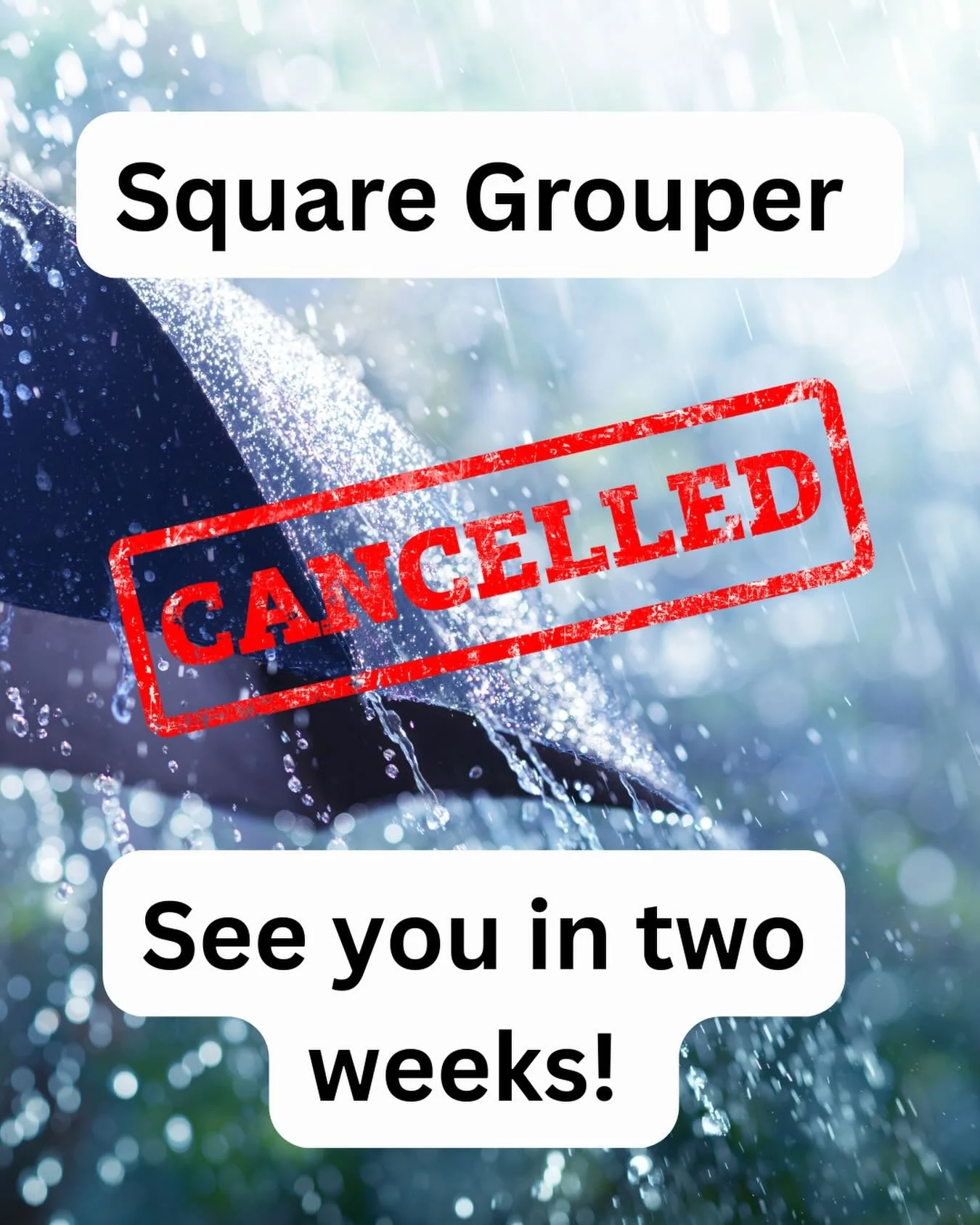 Florida be Floriding ☔️⚡️⛈️🤷🏻&zwj;♀️
@squaregroupertikibarfortpierce