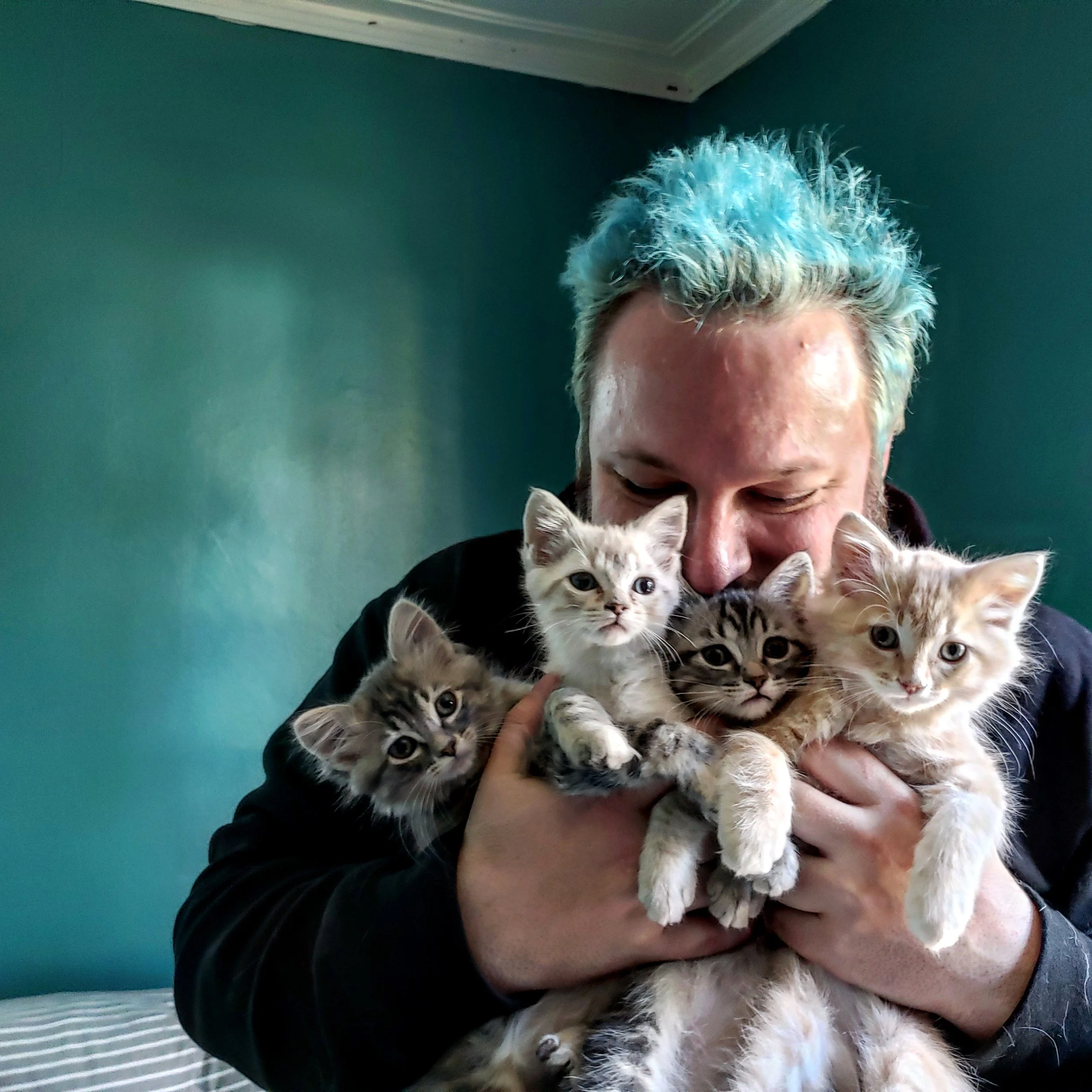 walt-cats.jpg