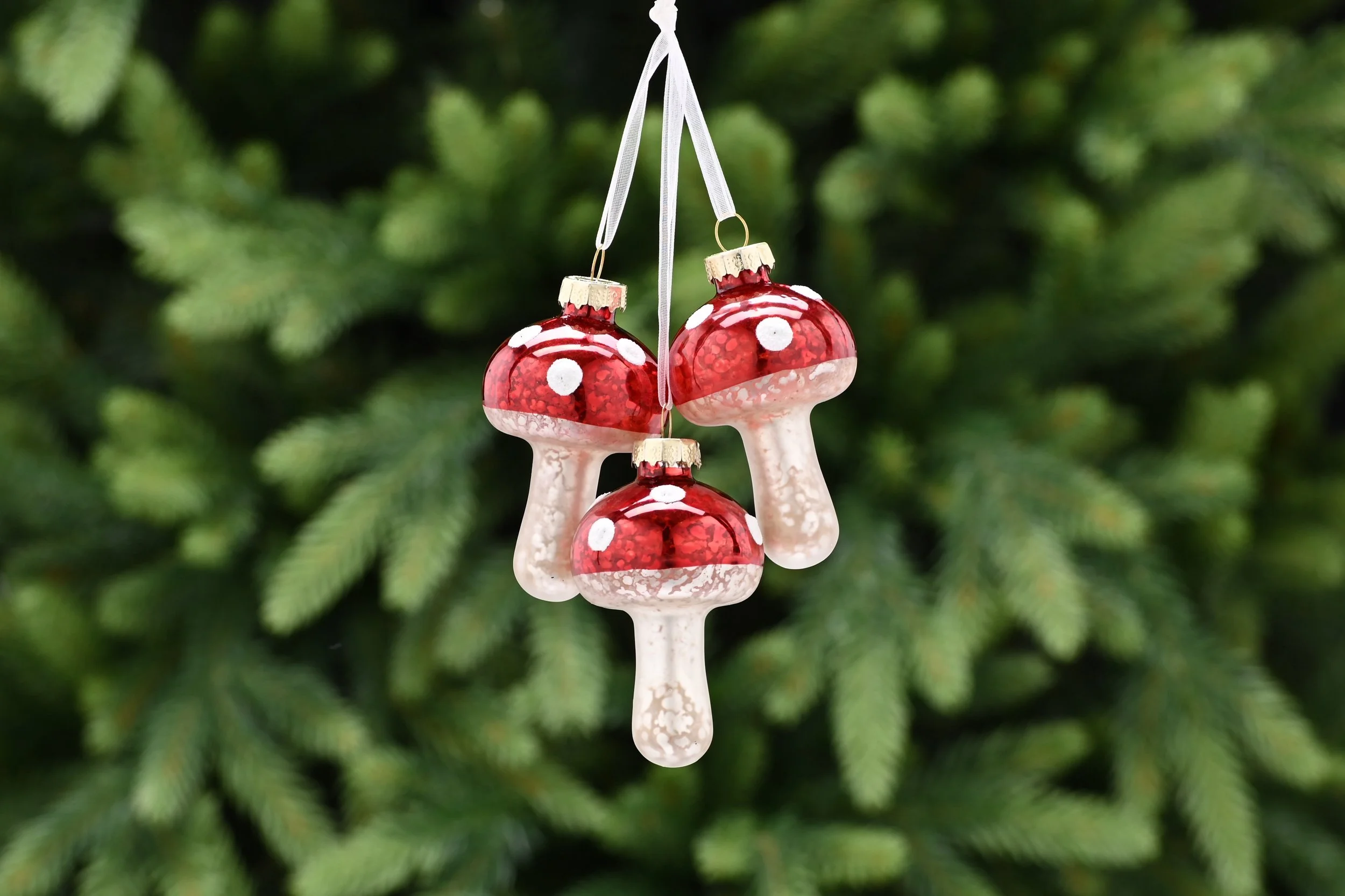 Hanging glass mushrooms
