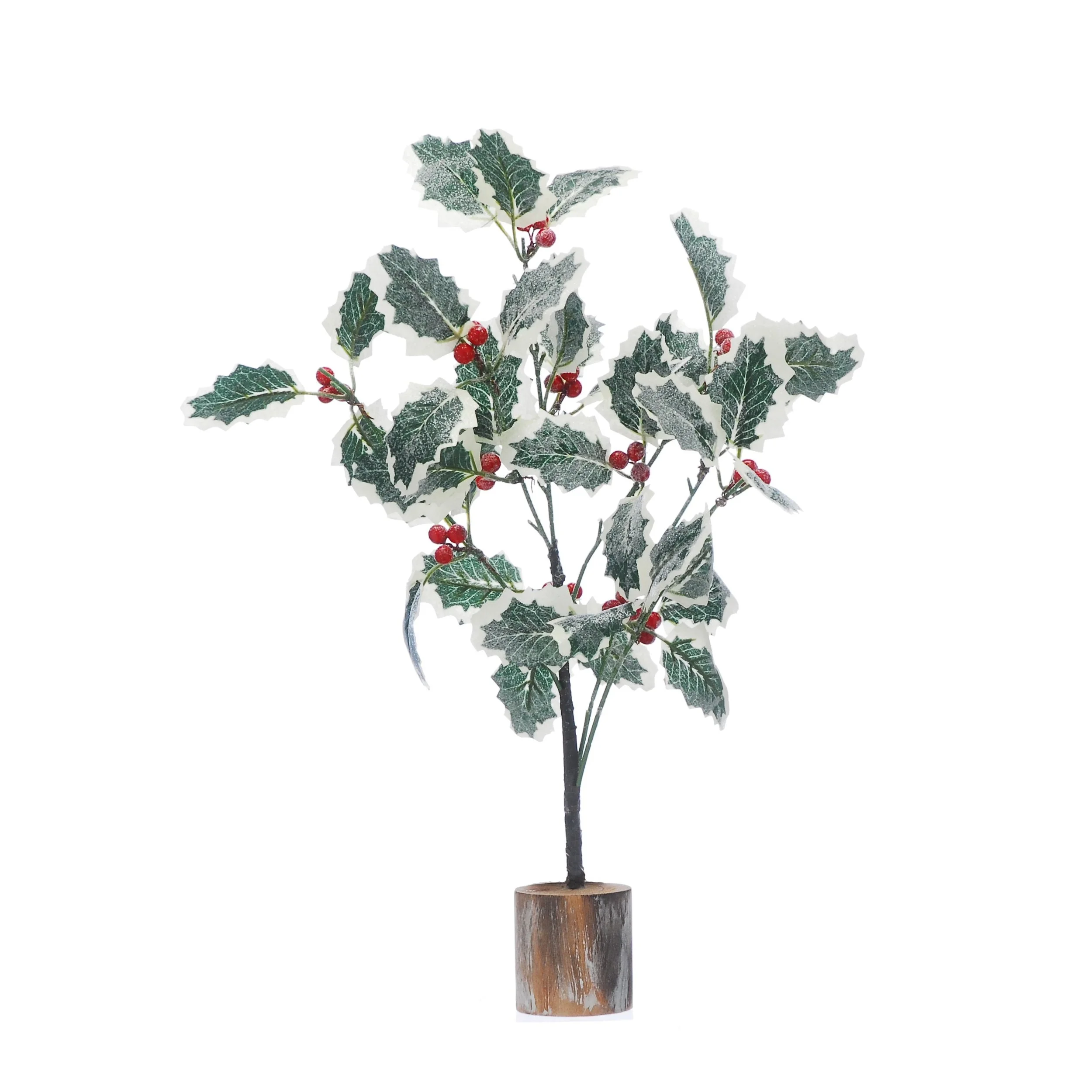 Tree - Variegated holly with red berries