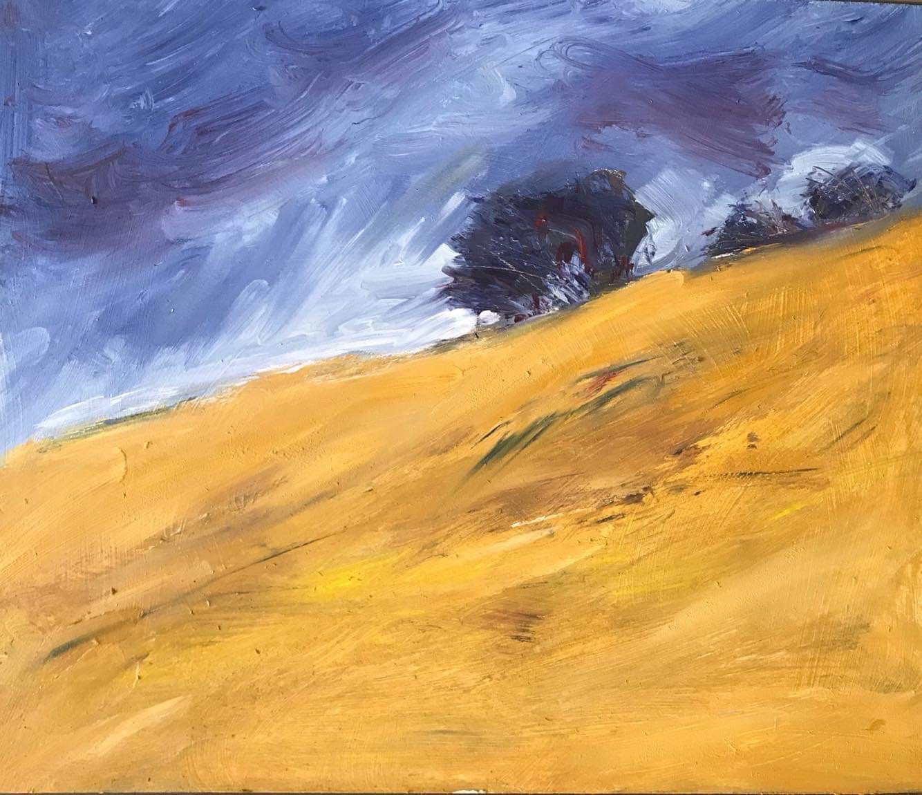 Sue McDonagh solo exhibition and book launch