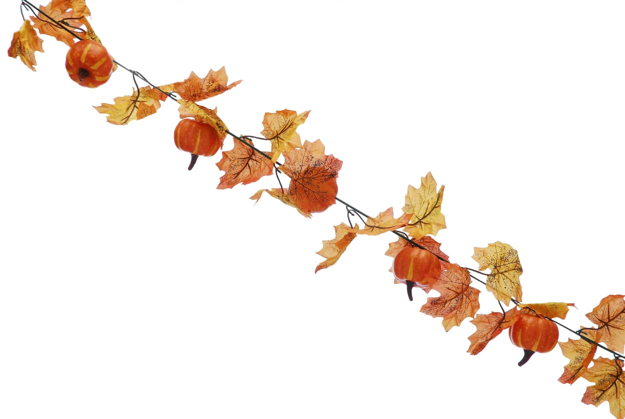 Garland - Autumn leaves and orange pumpkin