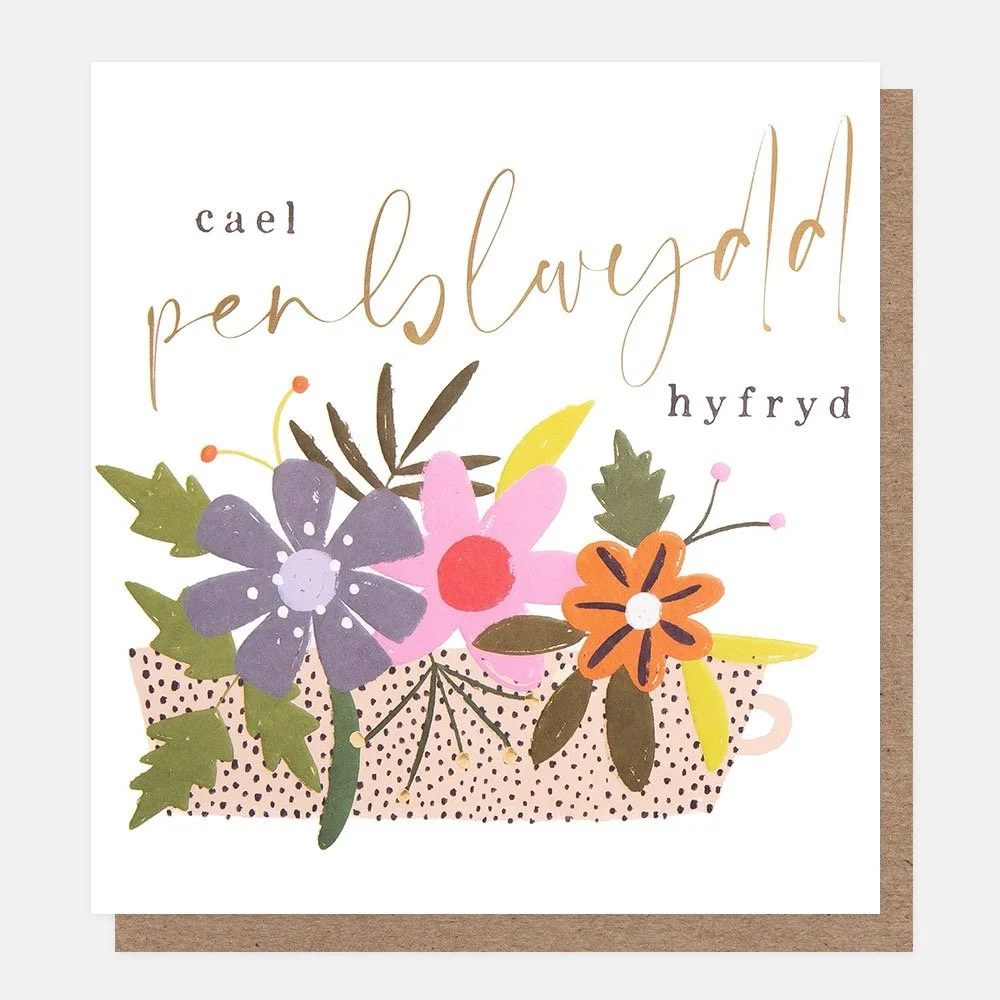 Card - Cael penblwydd hyfryd
