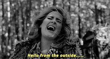 Hello from the outside.gif