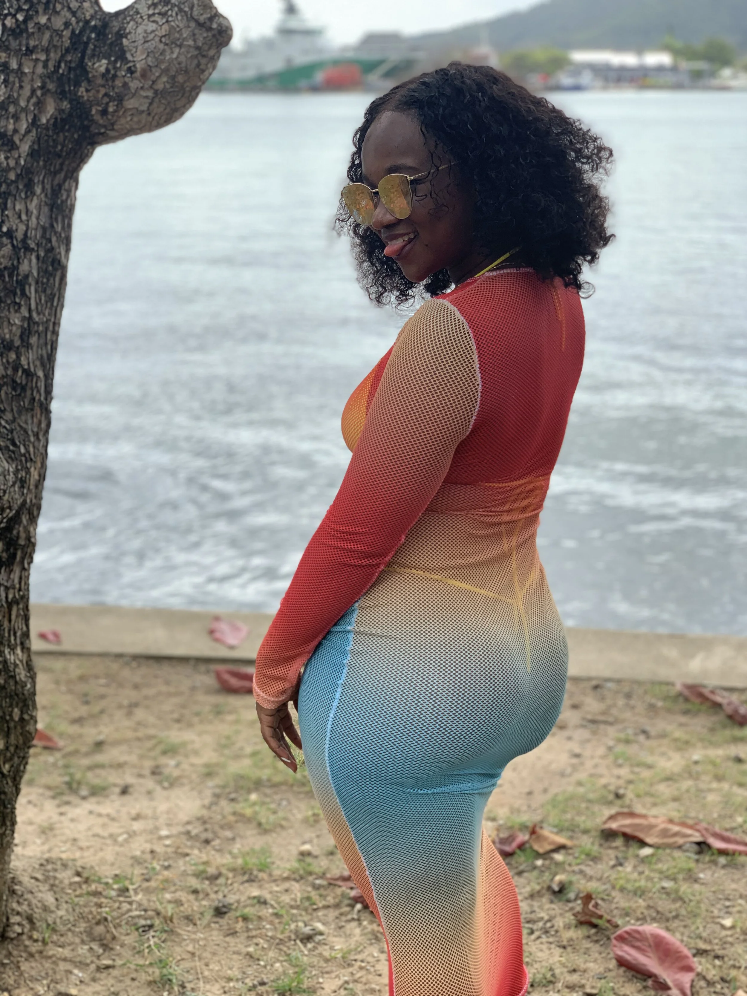 COPYCAT: Work from Home in the Caribbean; what you should know if you work for US comapny