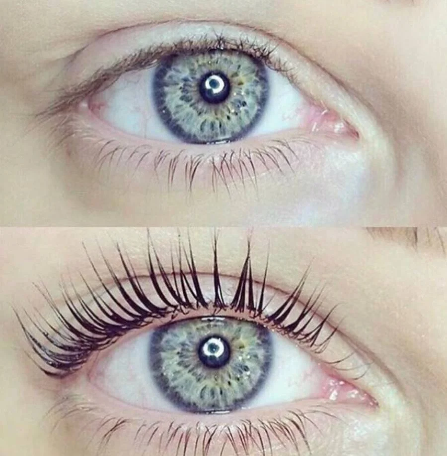lash.jpg