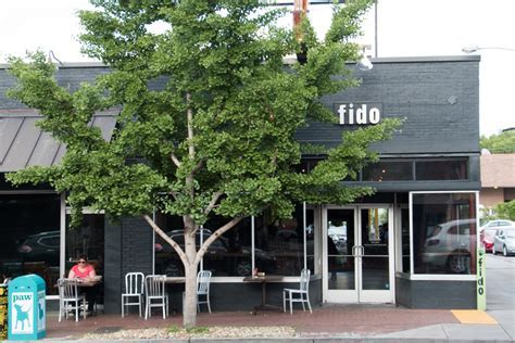 Fido &amp; Hillsboro Village