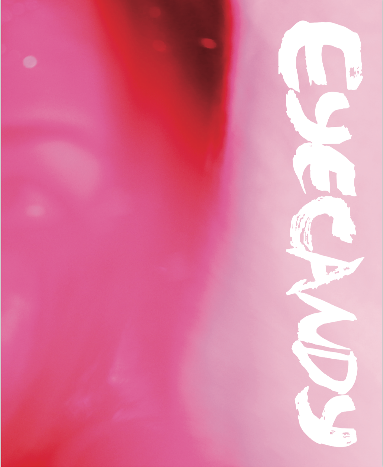 Screen Shot 2019-05-25 at 3.08.24 AM.png