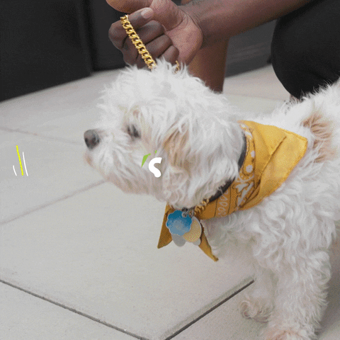 Shopify: Your All-In-One Commerce Platform