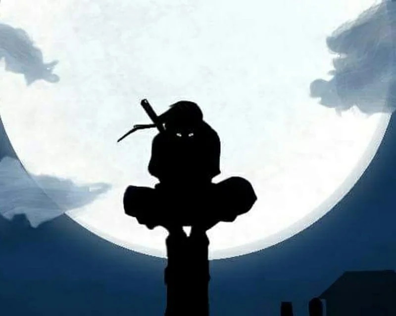 The Scene Ninja