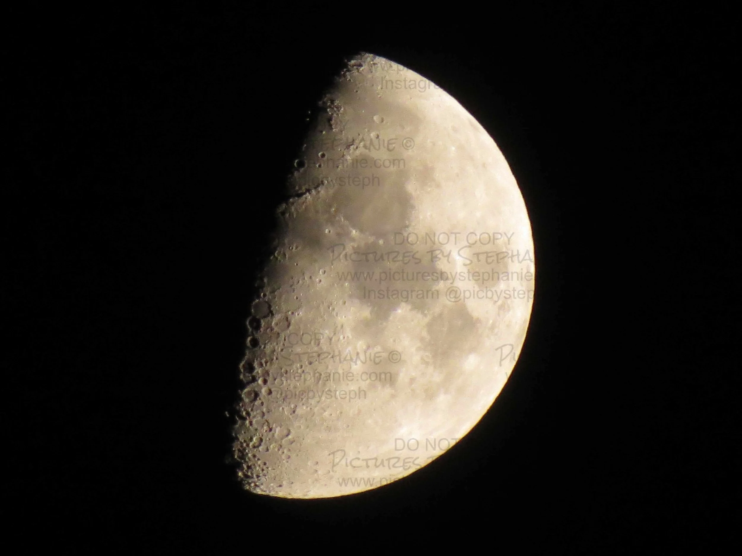 WM- Moon First Quarter - September 24th 2020.jpg