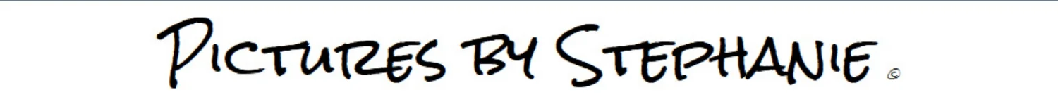 Pictures by Stephanie