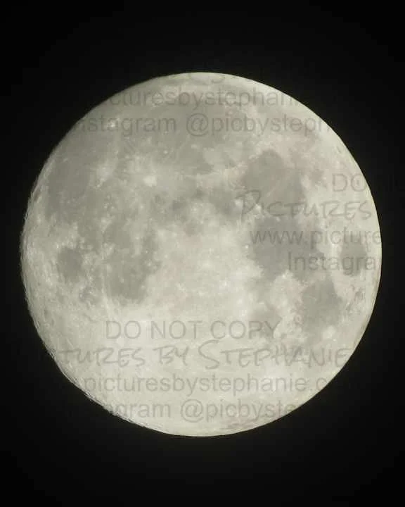 WM- The Full Moon 1 December 25 2023.jpg