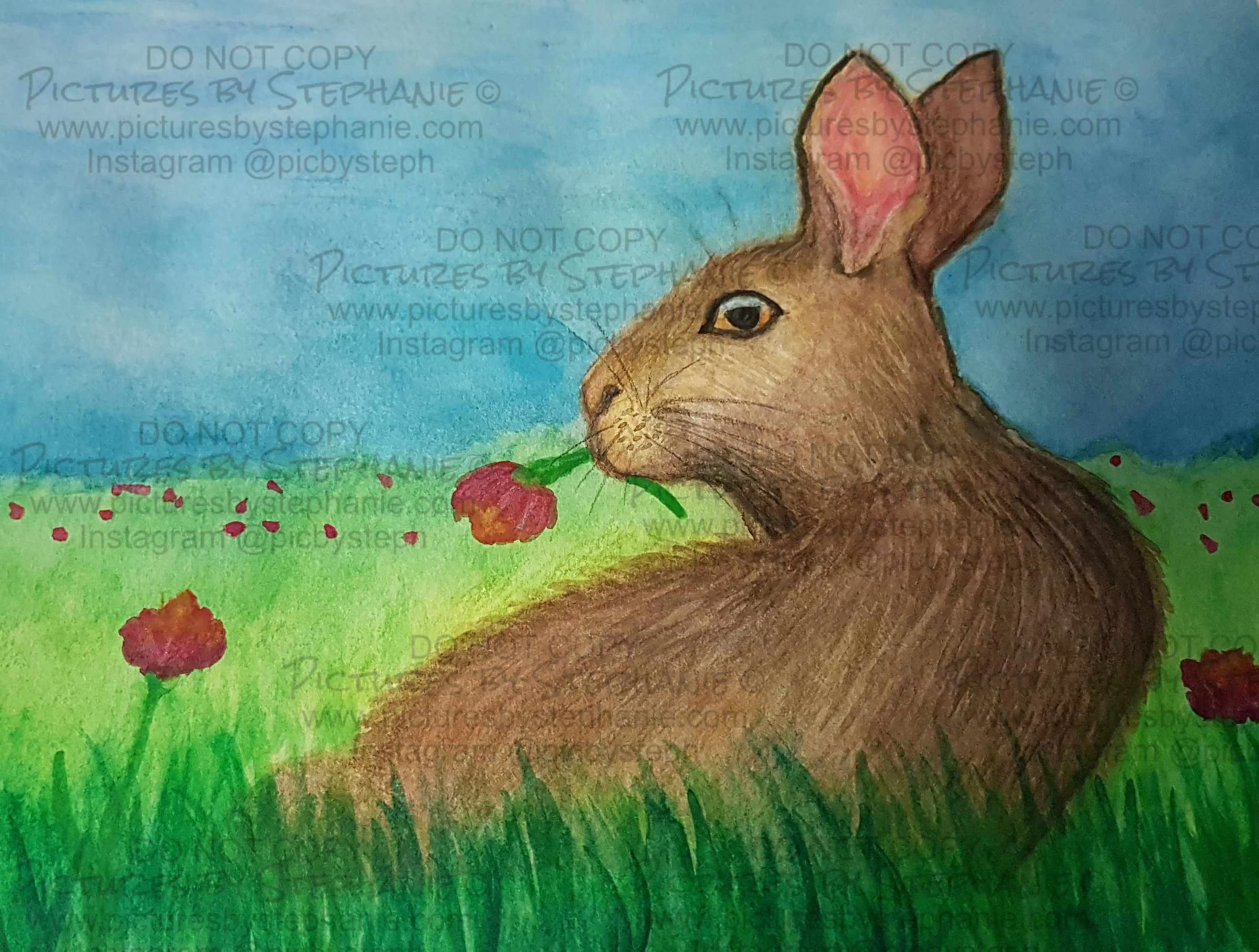 WM- Bunny No 1. - April 13th 2021.jpg