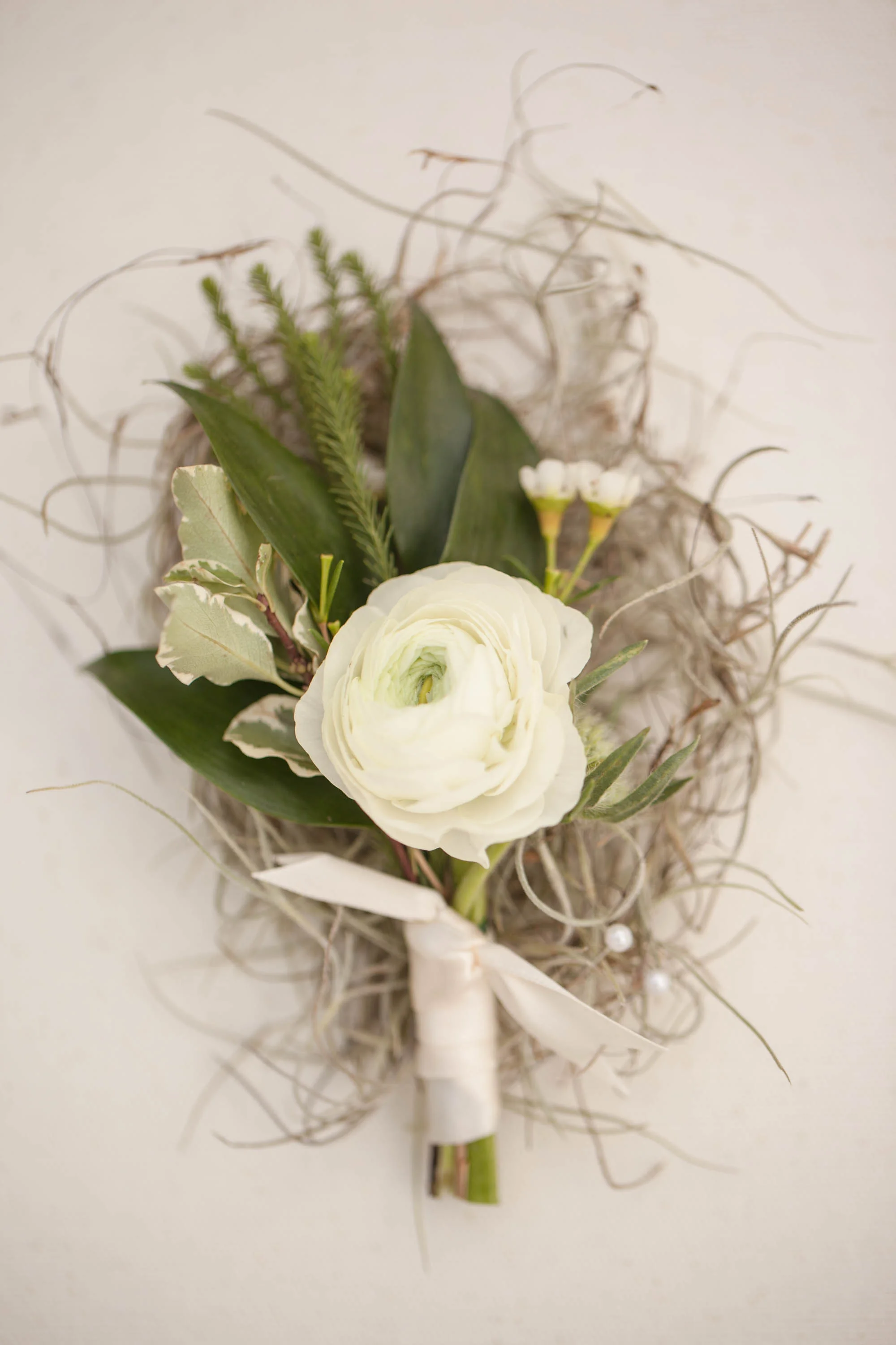 Leslie Perkins Photography LLC (26 of 1141).jpg