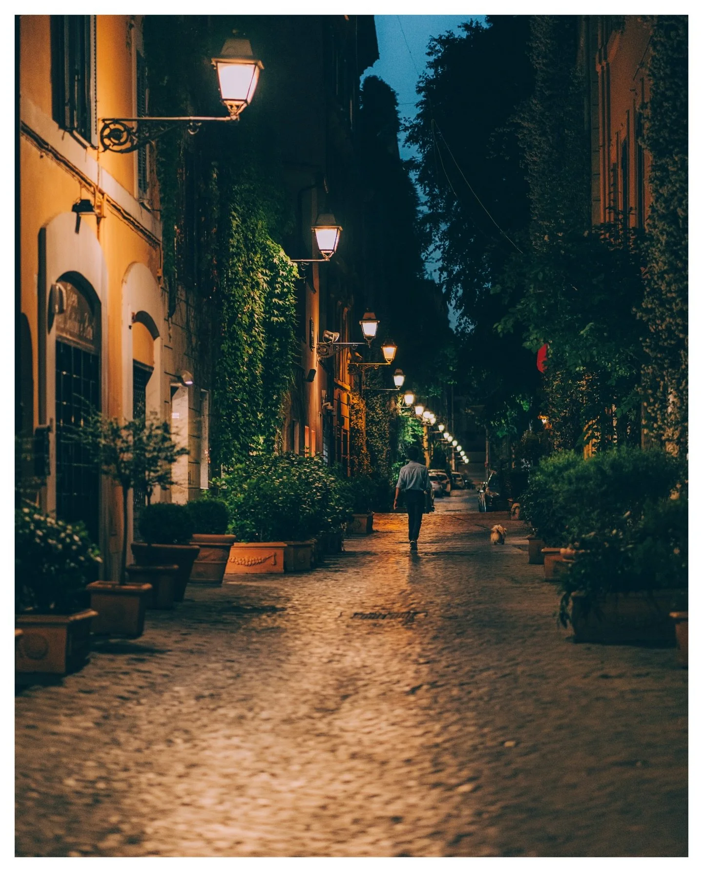 Some moments taken around Rome over the past few years 🍃