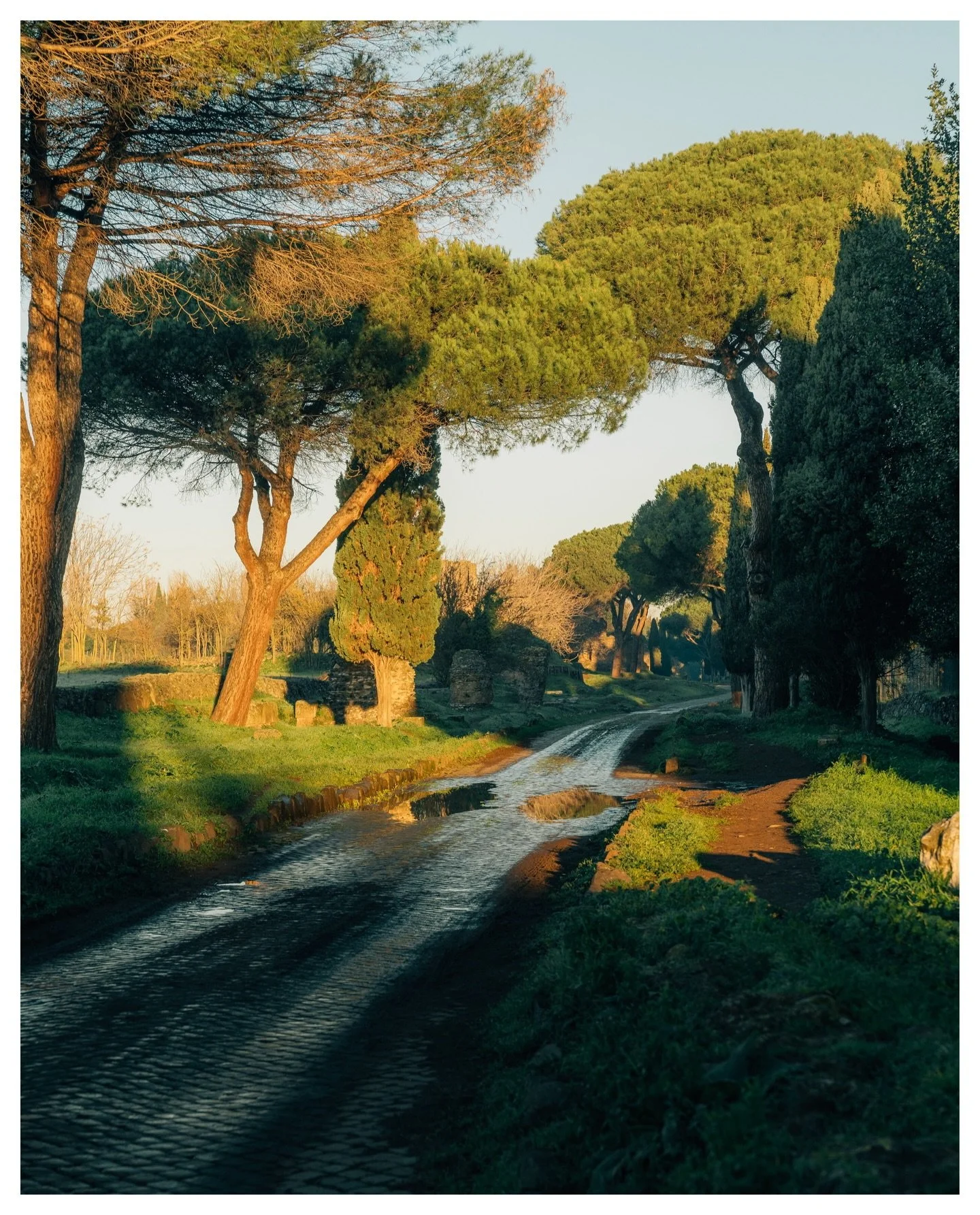 Photographs from earlier this year taken around the Appia Regional Park 🌳