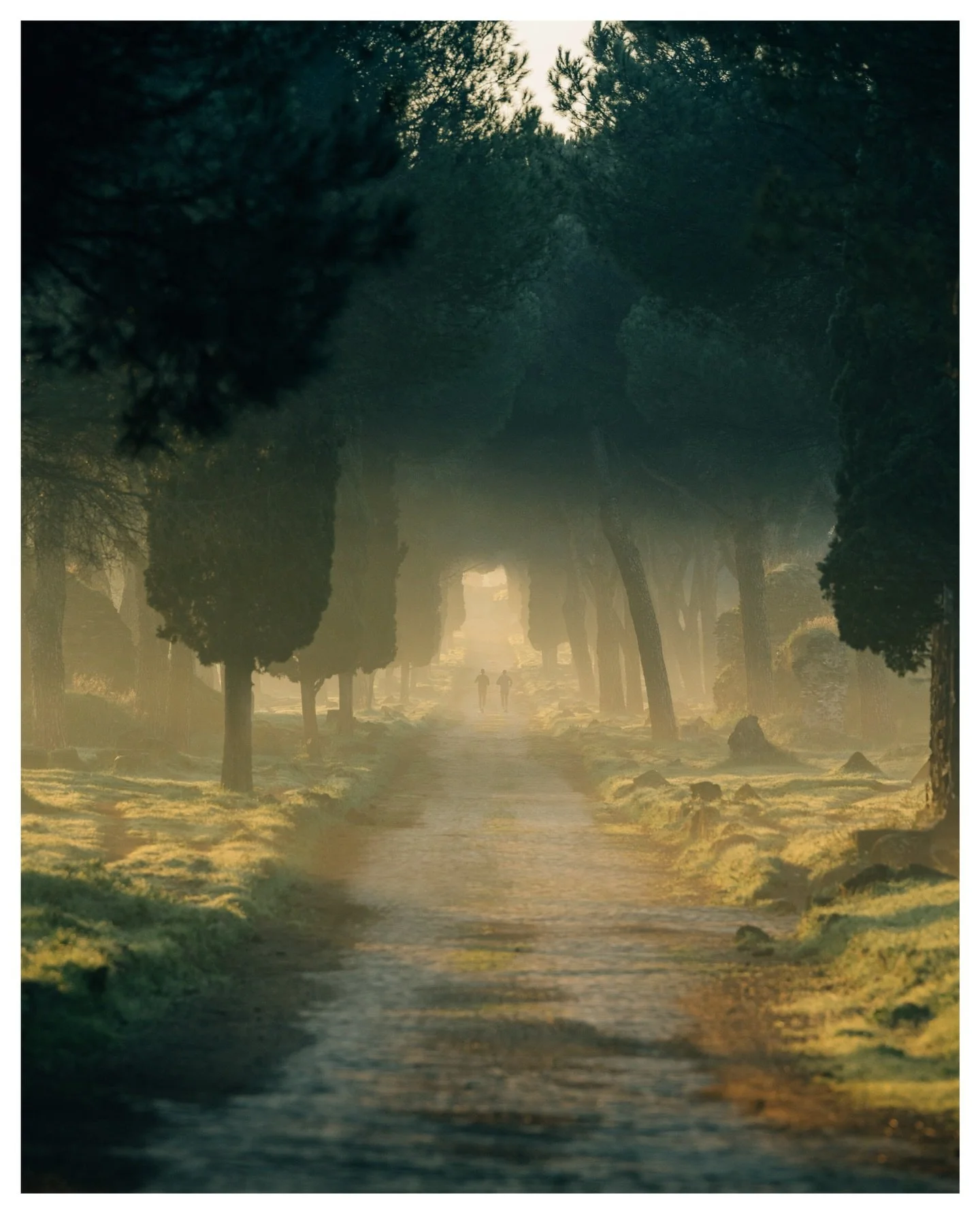 Stills taken around the Appia Antica Regional Natural Park 🌳🍃✨