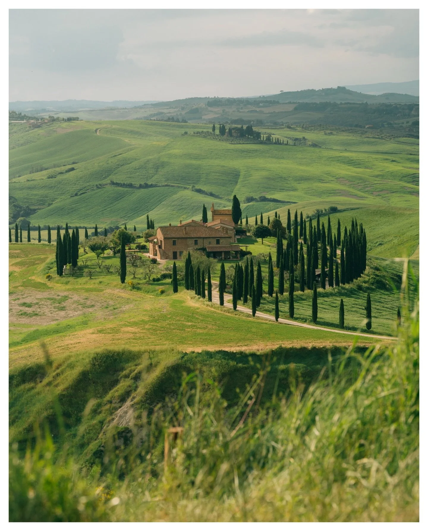Spring on the Tuscan hills 🍃