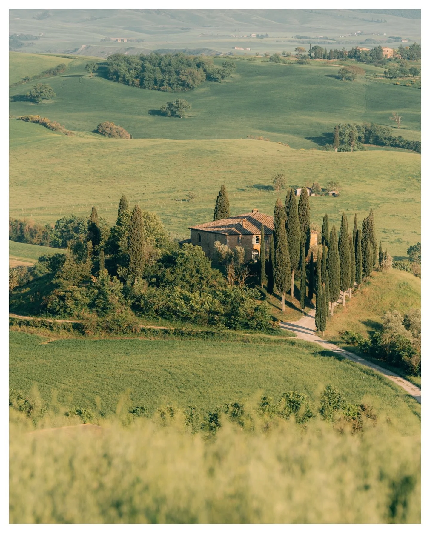 Tuscany, if winter comes, can spring be far behind ? 🍃