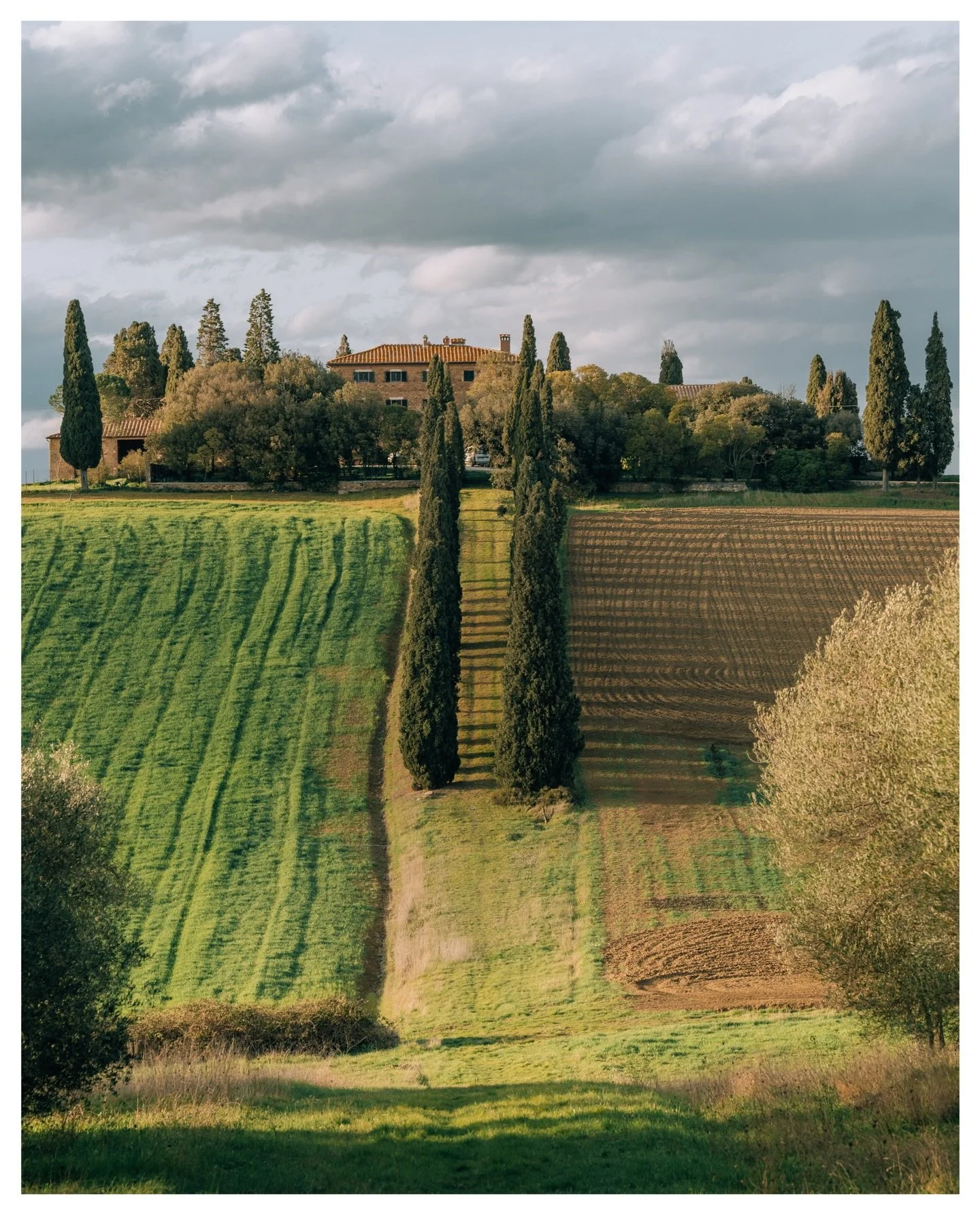 Spring in Tuscany 🌿