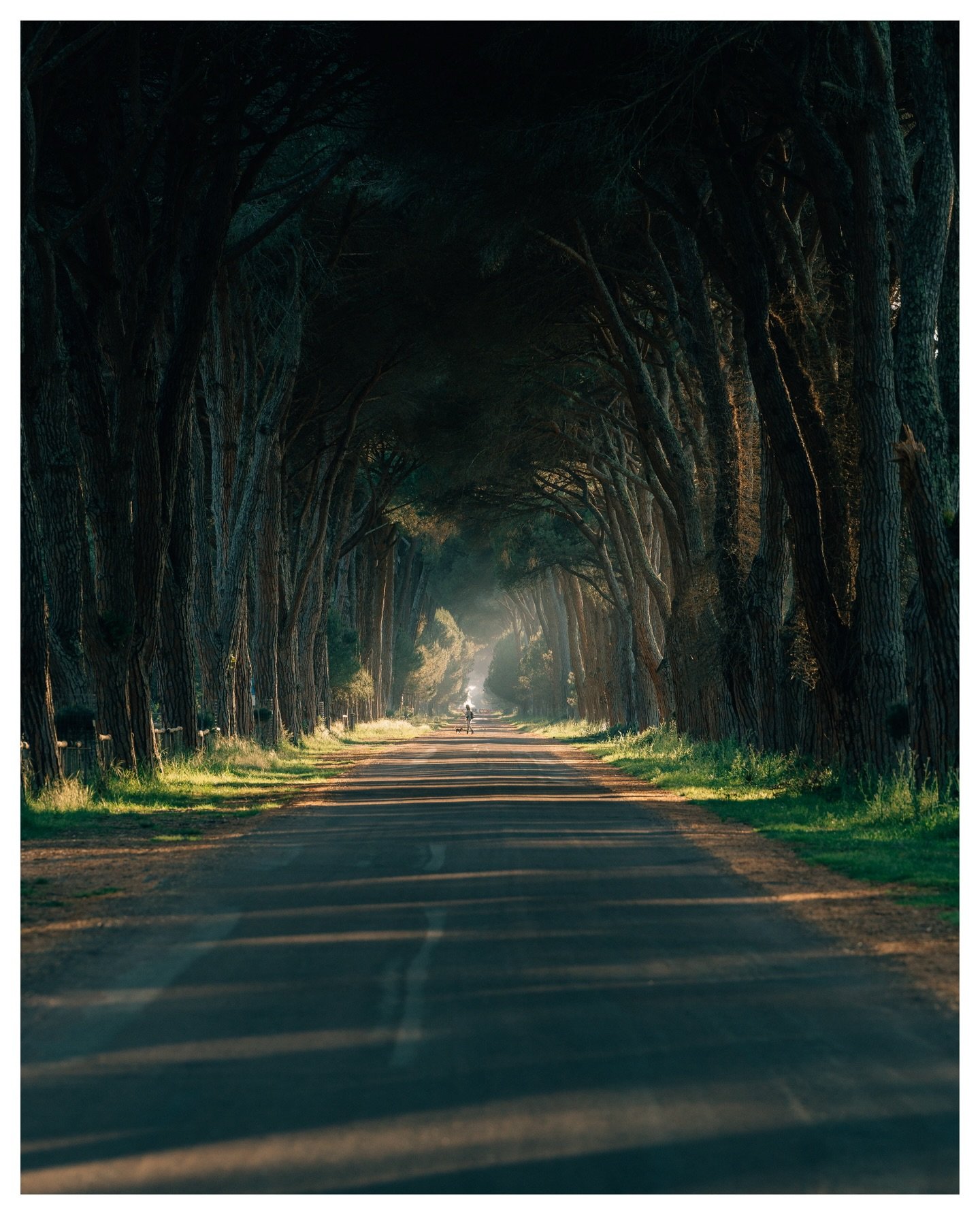 Spring in Tuscany part 2 🌿