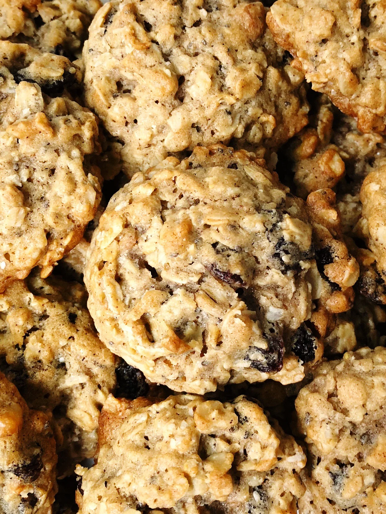 Oatmeal Raisin Cookies