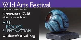 wil arts festival.jpeg