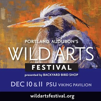 Wild Arts Festival