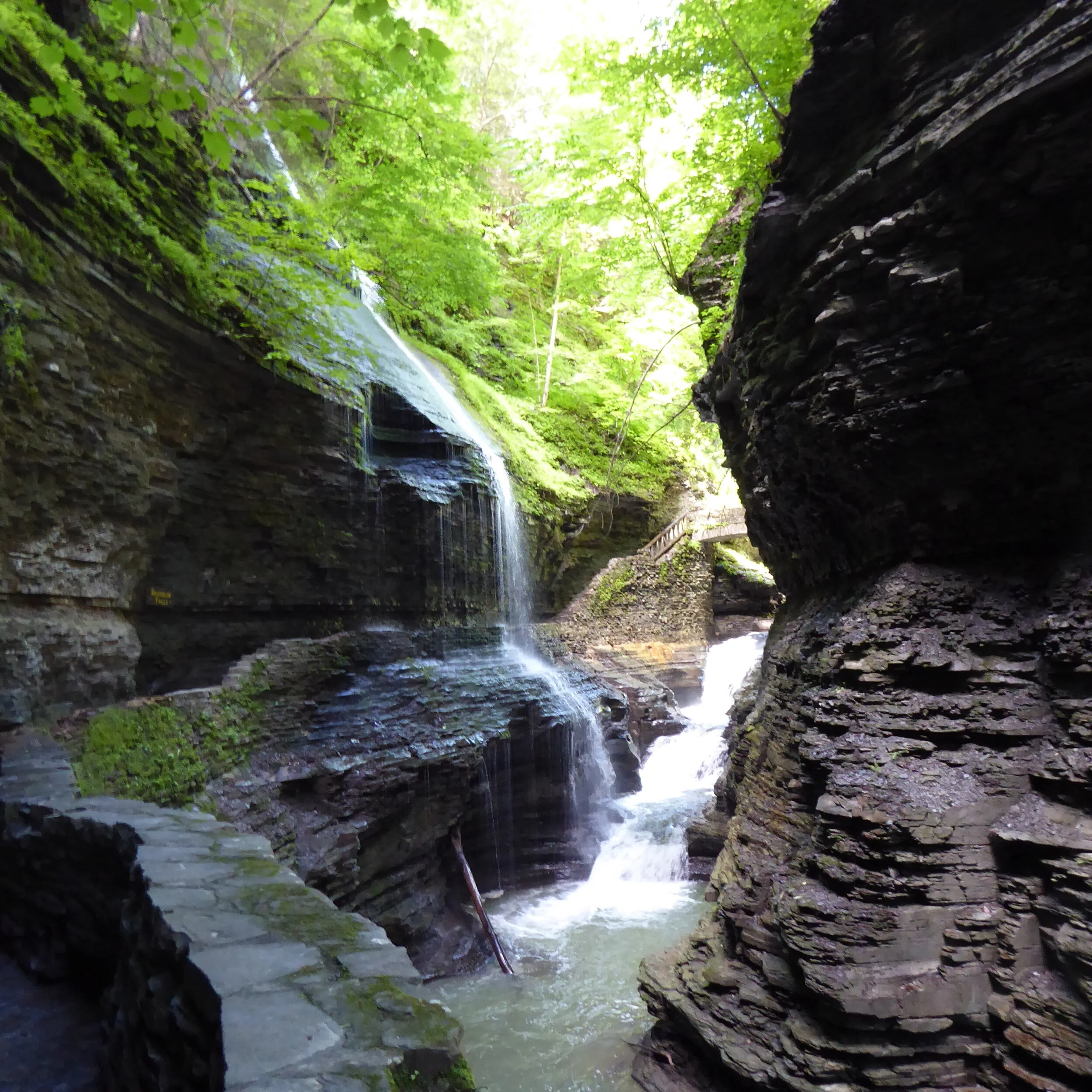 Watkins Glen Gorge.JPG