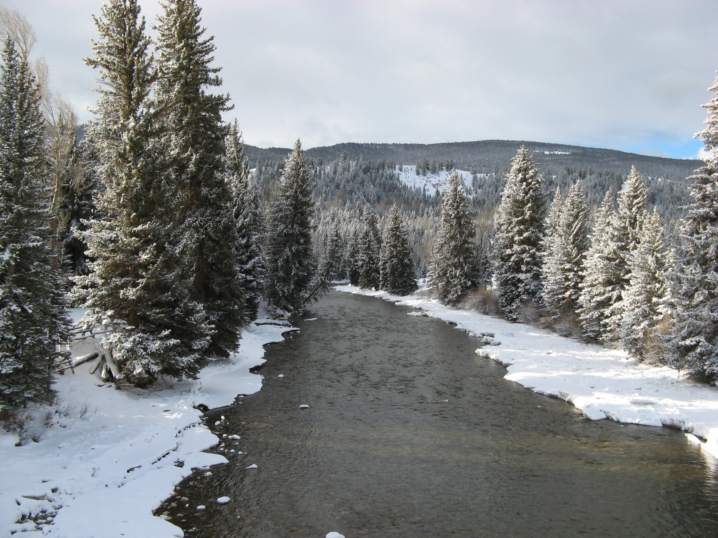 For the beauty of the earth....JPG