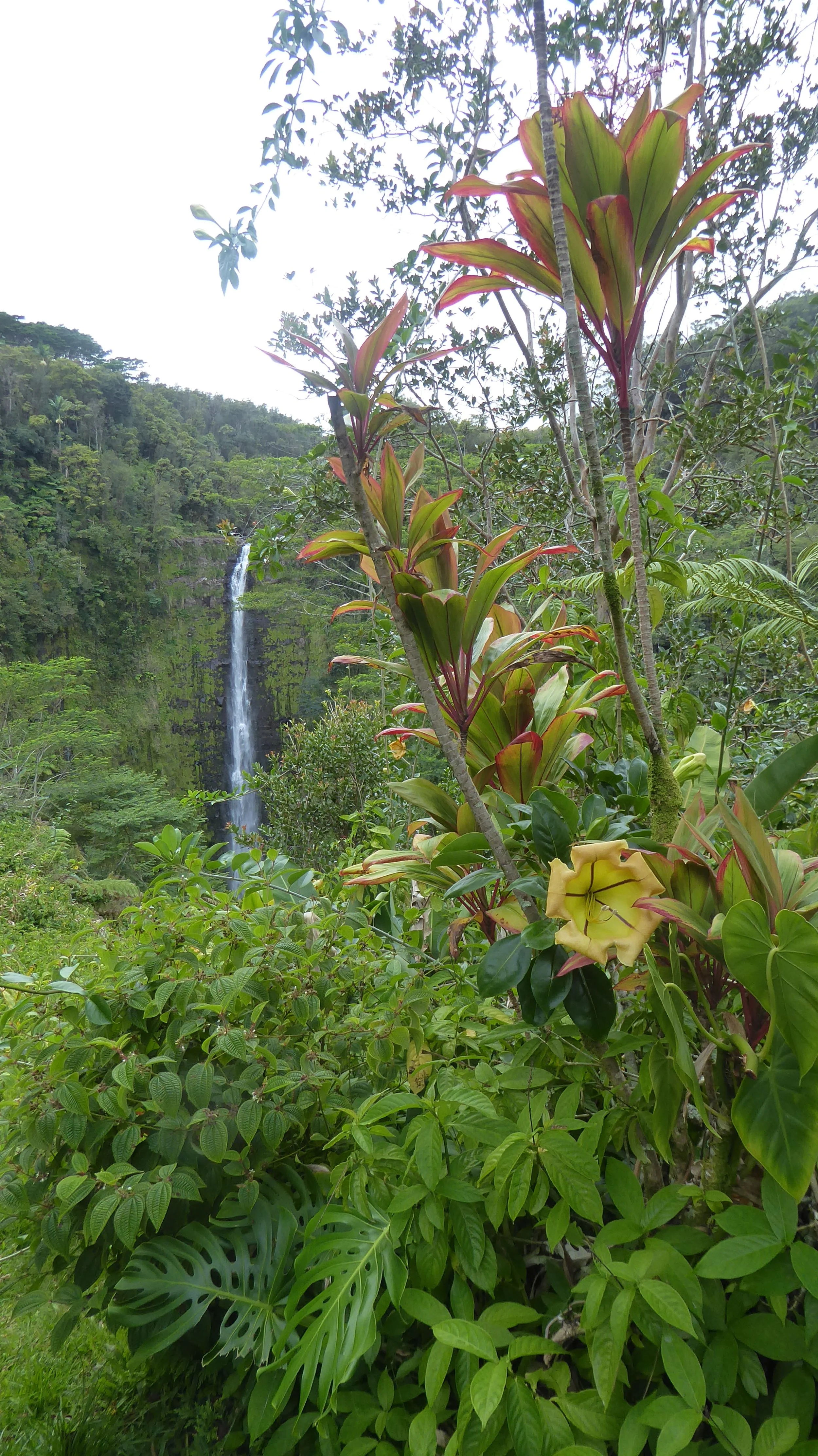 P1070450.JPG