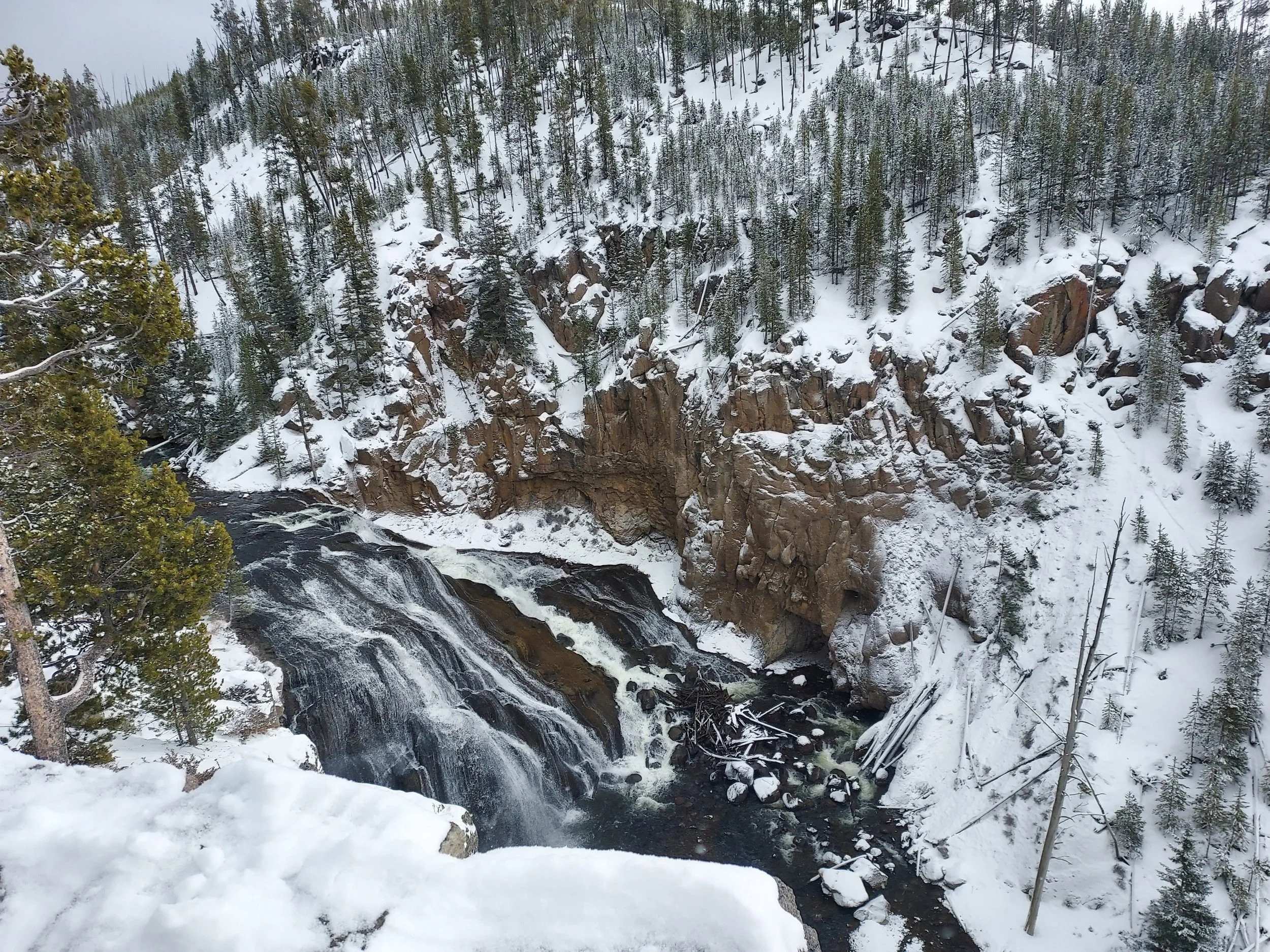  Gibbon Falls, Yellowstone National Park 