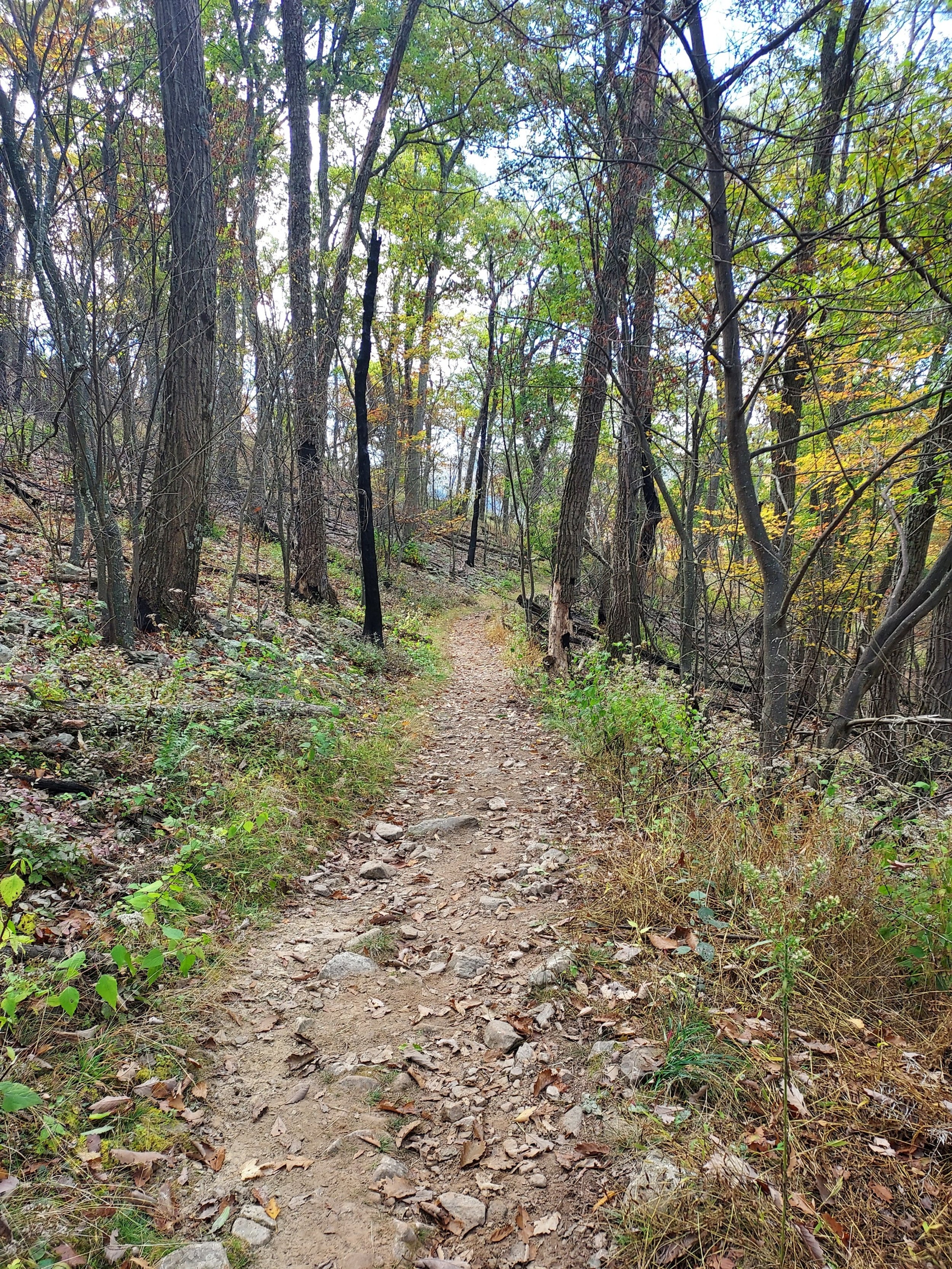 Trail Guide