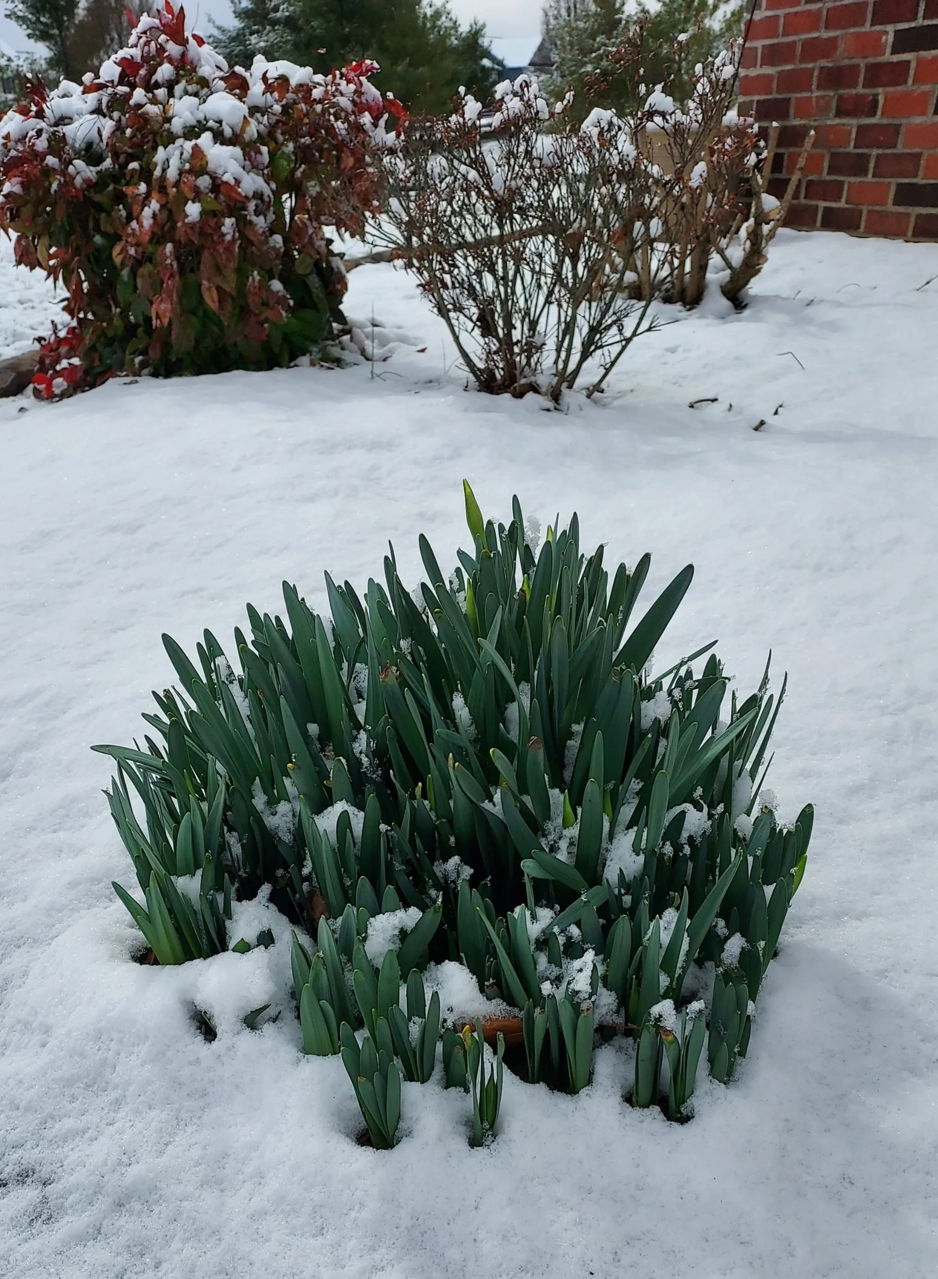 Seeing Clearly: Repentance