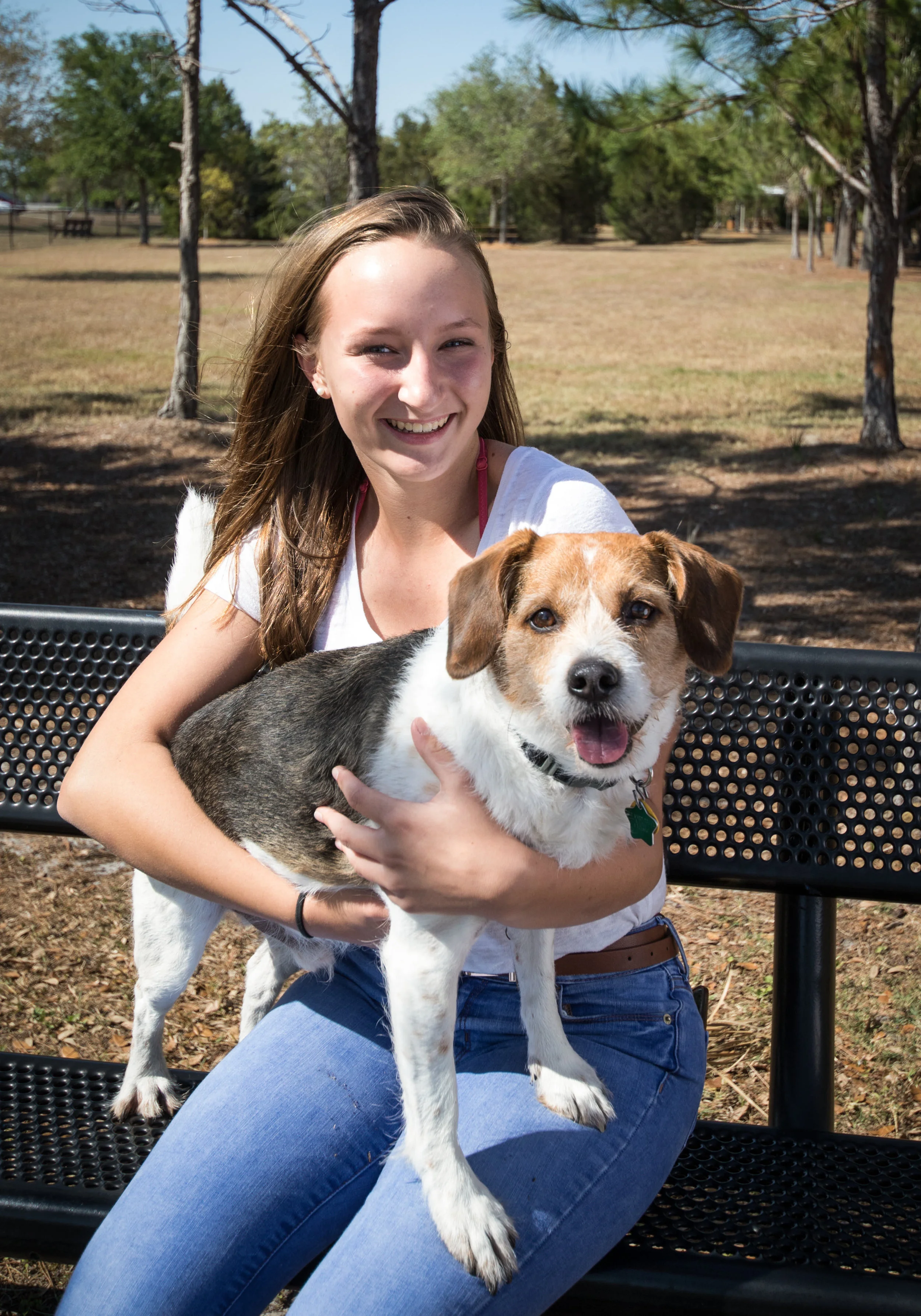 Buster is a 10-year-old Jackabee, but don’t tell him that! He is in total denial about his age, and is happy to show you his excellent jumping abilities! He had a blast exploring the trail at Suseda Park in Viera.